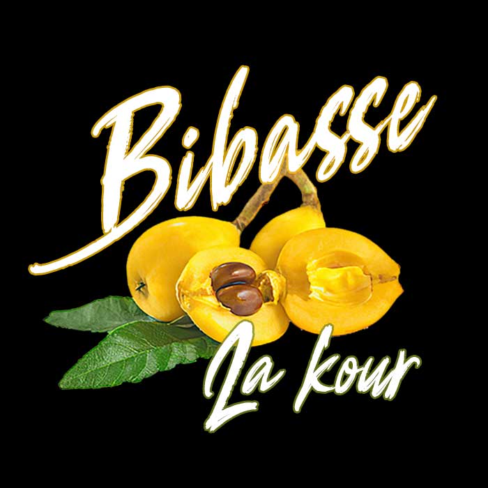 t shirt zabi 974 bibasse la kour