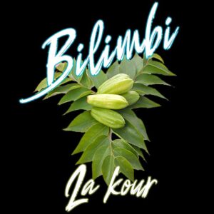t shirt zabi 974 bilimbi la kour