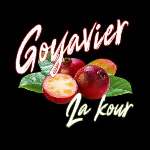 t shirt zabi 974 goyavier la kour