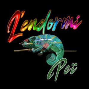 t shirt zabi 974 lendormi pei
