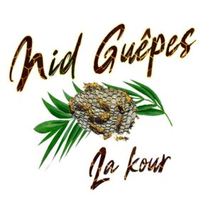 t shirt zabi 974 nid guÊpes la kour