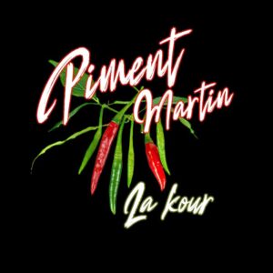 t shirt zabi 974 piment martin la kour