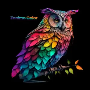 t shirt zanimo color hibou 2